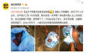坟地现不足两斤重男婴 已被送到临沂儿童福利院