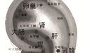 耳鸣 耳聋 专药专治