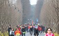 元旦小长假 武汉市民乐享武汉东湖绿道
