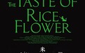 专访鹏飞：电影节喜欢中国负面的电影，想和他们较劲