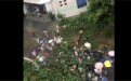 暴雨吹倒大树砸中校工 女大学生边喊号子边抬树救人