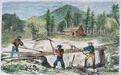 去澳大利亚淘金：1851年淘金热是如何发生的？