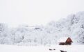一年只美3个月 这个土味山村一下雪就美成了“中国札幌”！