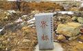 辽东湾百只斑海豹遭盗猎 38只死亡
