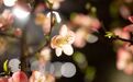 古人如何花式表白？这十句话胜过万遍“我爱你”