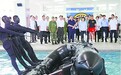 蔡英文任上首赴金门劳军 台两栖特战队"泳池练兵"