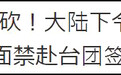 [夜读]台媒称大陆赴台跟团游3月全面停止 台官方回应