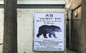 PETA“呼唤自由的熊”公益艺术展当选行动者联盟2018公益盛典“年度十大公益创意”