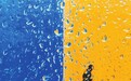 雨中同行