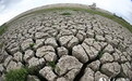 直击海南旱情：水库干涸变"草场" 土地龟裂