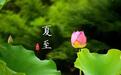 同样的夏至，不同的美丽！“夏至”故事知多少？