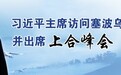 【专家谈】印巴加入上合影响深远