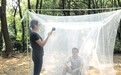 长沙设26个点监测蚊密度 工作人员当"活靶"引诱蚊子