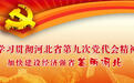 衡水市桃城区委学习贯彻省第九次党代会精神