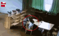 湖南4岁男童异物卡喉身亡 3分钟未救援