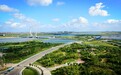 潍坊滨海：盐碱地上展新颜