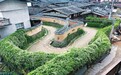 松口气，给你一个“嵩口”的家