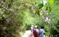 第六届西吉火石寨丁香花节开幕 漫山花海醉游人