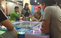 回龙观两涉赌电玩城仍在营业