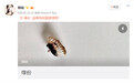 演员韩晓昨日产下双胞胎 感叹：行善积德是好事