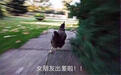 女朋友出差了？别大意，一不小心你就这样了