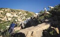 秦岭深处 寻觅高山放养有机羊奶