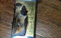 三星Note7充电时爆炸 这毁坏程度真吓人