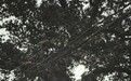 两次被灭族,四次大逃亡 三进老泸州,风雨2600年