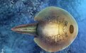 3.9亿年前“丑萌”东方鱼的生存秘密