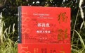 读孟泽《独醒之累》|中国历史和文化反思的一面镜子