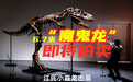 苏富比将拍卖6.7米“魔鬼龙”化石！