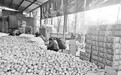 6小时售10万斤苹果！甘肃礼县苹果在网上卖火了