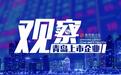 青岛上市企业观察丨青岛森麒麟轮胎IPO：二次上市能否如愿？