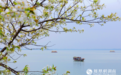 柳叶湖：迎一场春雨 遇春暖花开