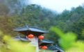 一日禅：洞彻世事人生