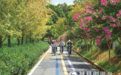 长沙县：茶产业路铺就乡村振兴“快车道”