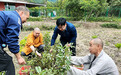 禅田共耕：江西修水黄龙禅寺僧众用独特方式庆祝五一劳动节