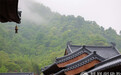 一日禅：来去之间