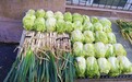 【75年 | 国·家·人】冬藏