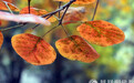 一日禅：生活没你想象得那么糟糕