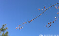 一日禅：扩大自己的心胸