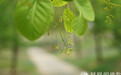 一日禅：静心，可去除烦恼