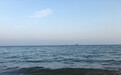 一日禅：眼光越高远，视野越开阔