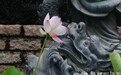 一日禅：不用回头看