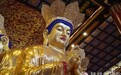 一日禅：你若平和，无人可恨