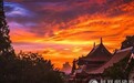 一日禅：体验