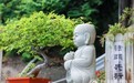 一日禅：高尚