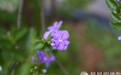 一日禅：彼岸