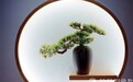 一日禅：得失成败皆过往