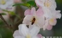一日禅：翻篇